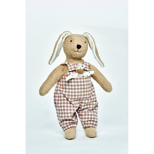 Hase Hugo